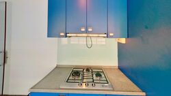 Tiong Bahru Estate (D3), Apartment #437287261